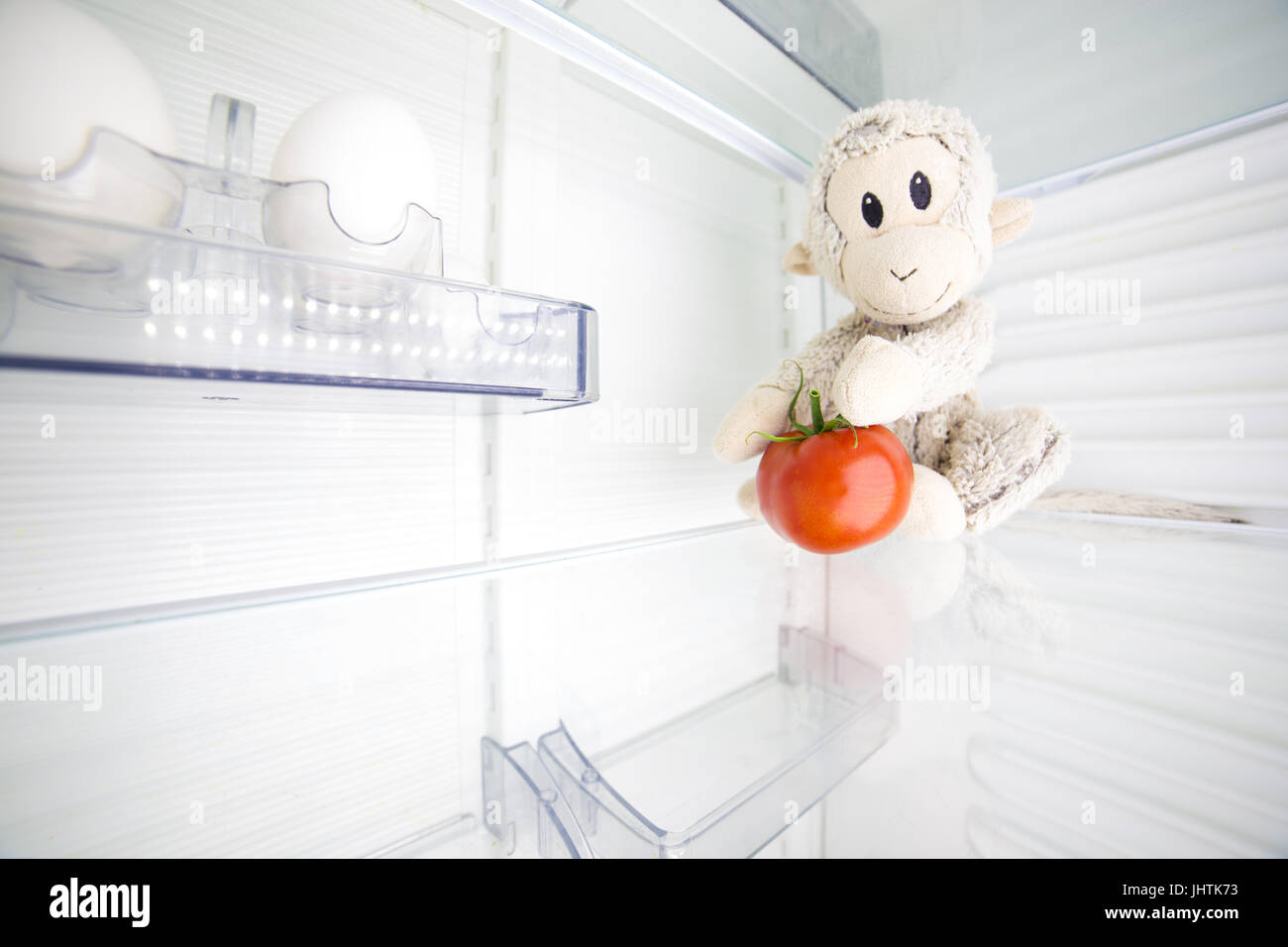 A monkey is holding a red tomato in the fridge. In the home. Stock Photo