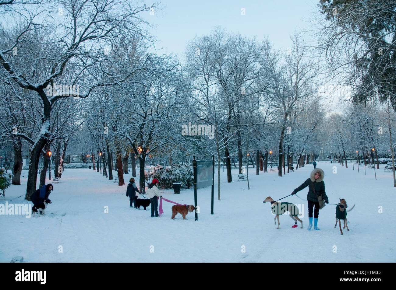 People and dogs walking in the snow. The Retiro park, Madrid, Spain. Stock Photo