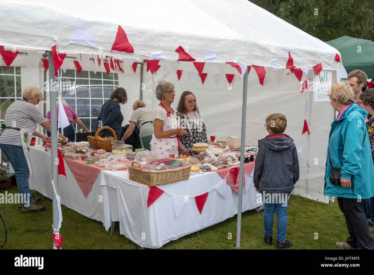 Womens Institute cake stall at village carnival, Charlesworth, Derbyshire, England. Stock Photo