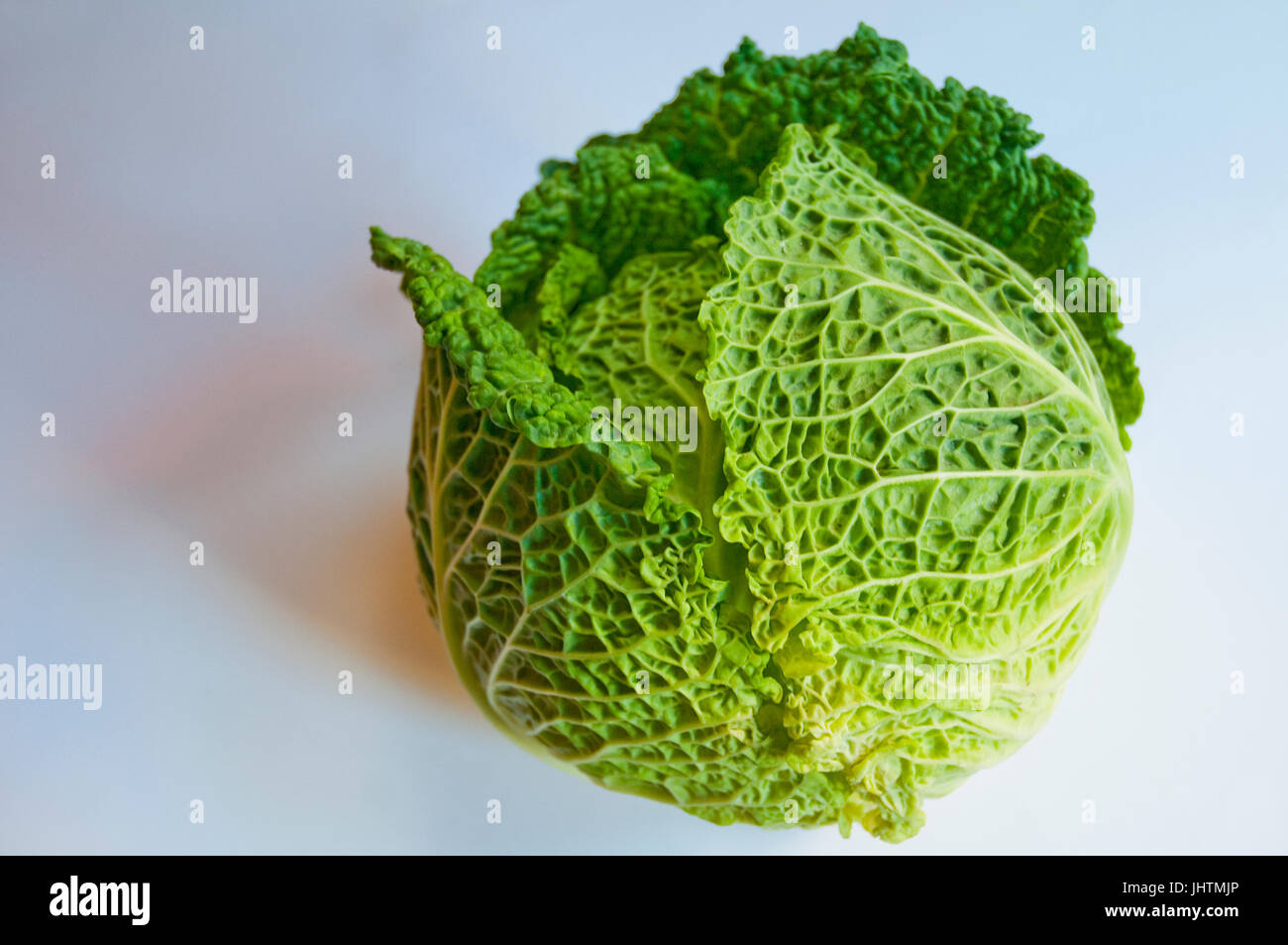 Cabbage Stock Photo