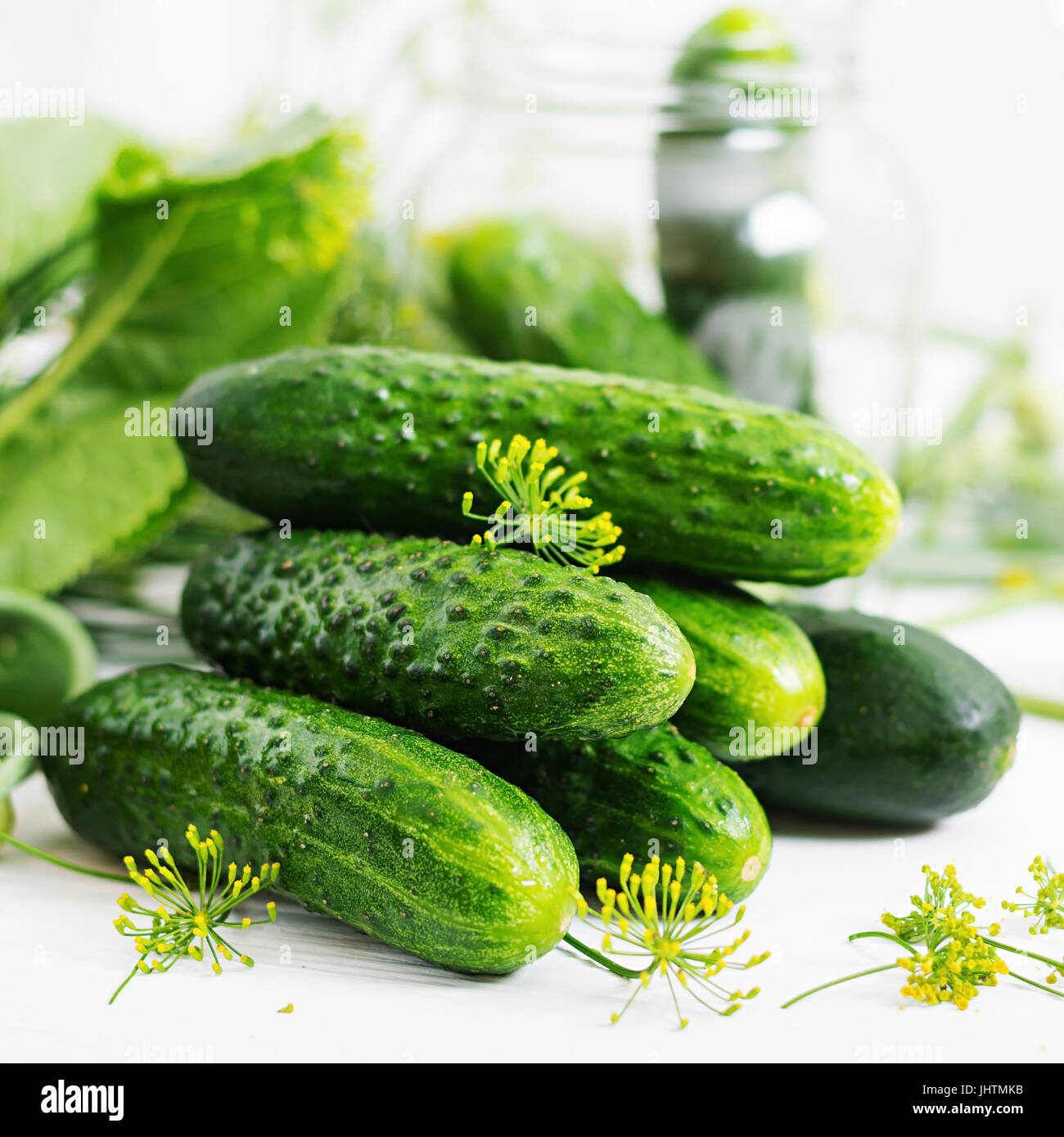 Preparation pickled marinated cucumbers, herbs and salt Stock Photo Alamy