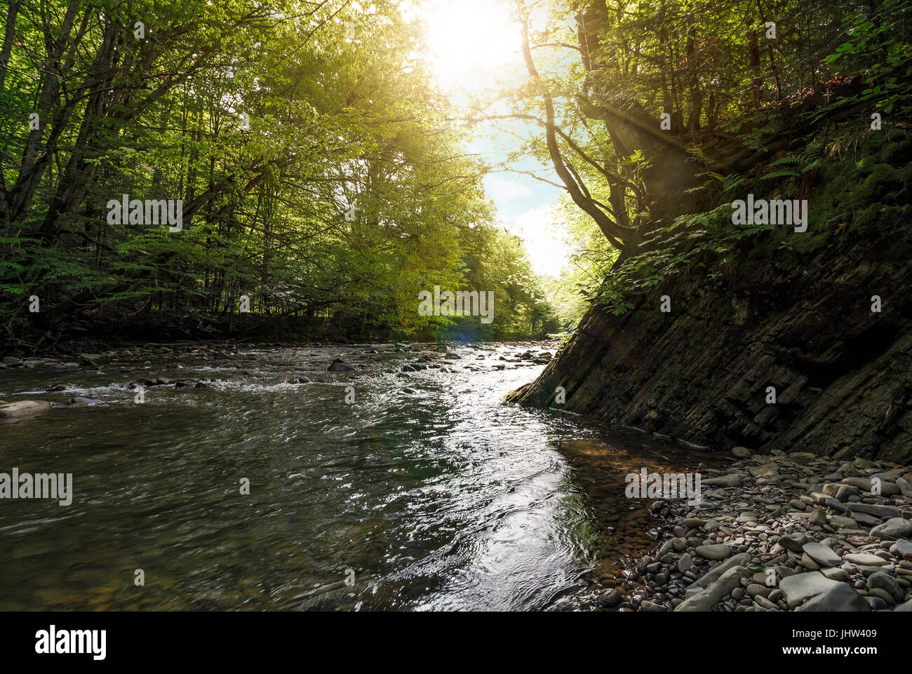 river flow in sunny forest. beautiful summer background Stock Photo - Alamy