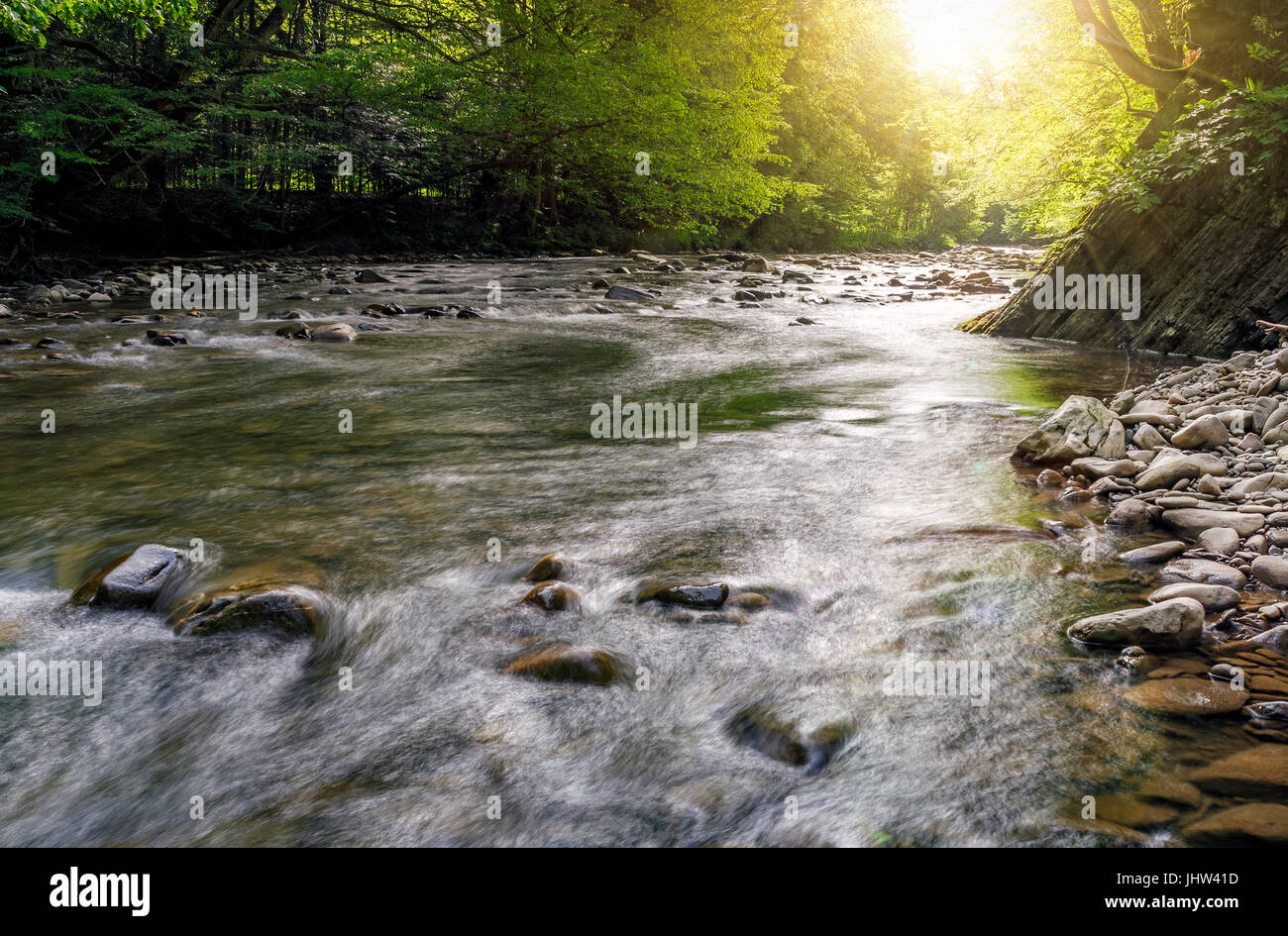 river flow in sunny forest. beautiful summer background Stock Photo - Alamy
