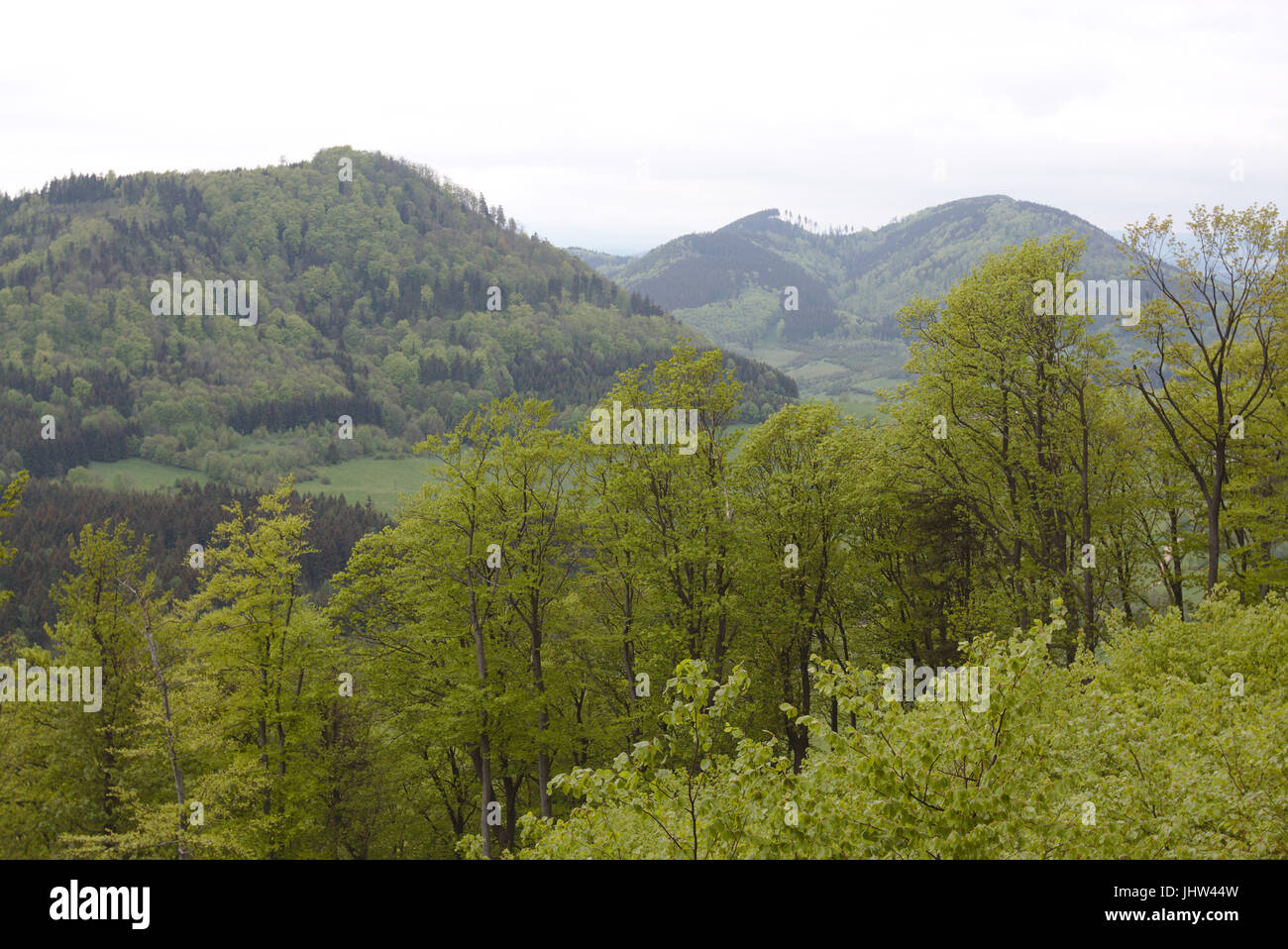 Góry Kamienne (Stone Mountains) in Poland Stock Photo