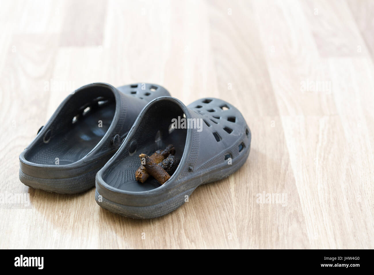 Poop On A Shoe