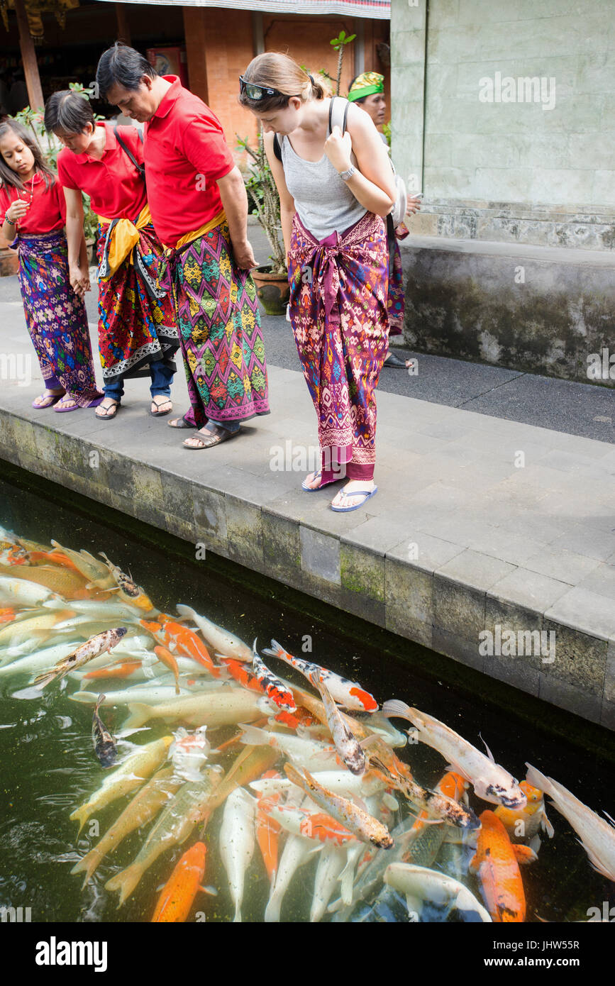Koi fishes in pool at Pura Tirta Empul Temple, Tampaksiring, Bali, Indonesia Stock Photo