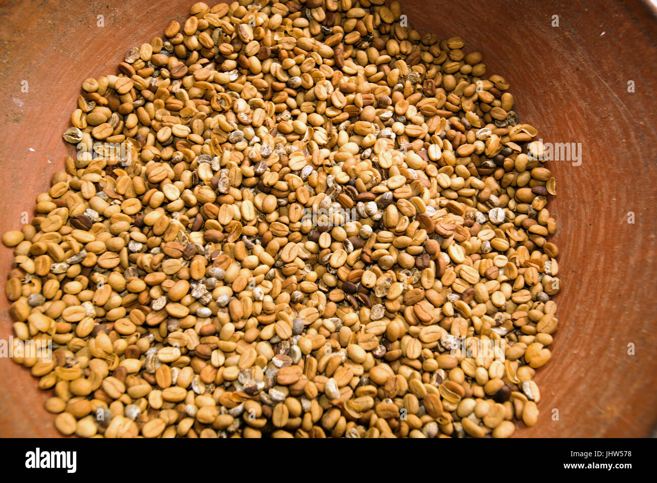 Roasted Luwak coffee beans Bali Indonesia Stock Photo Alamy