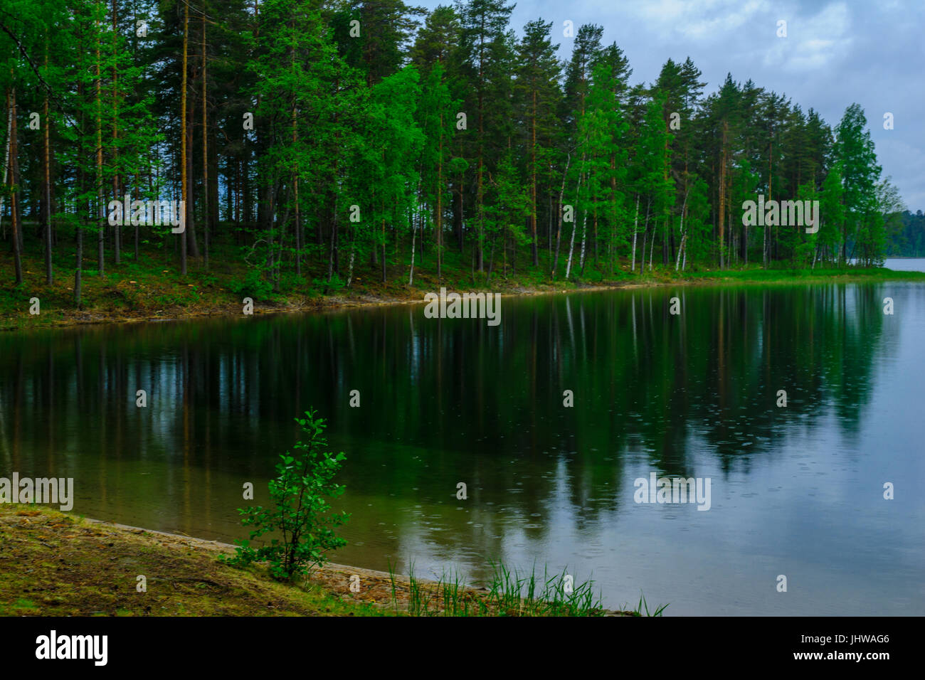 Landscape Of Lakes And Forest Along The Punkaharju Ridge. Shouthern ...