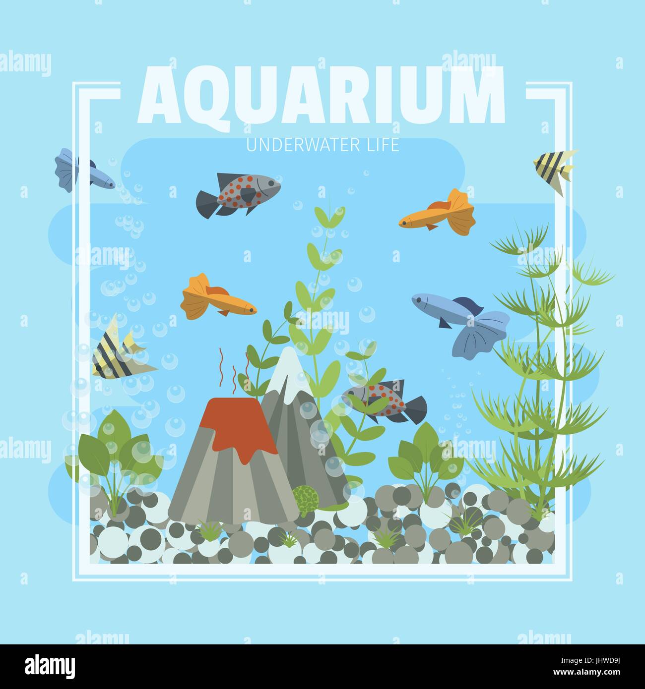 Aquarium with fish and plants Stock Vector Images Alamy