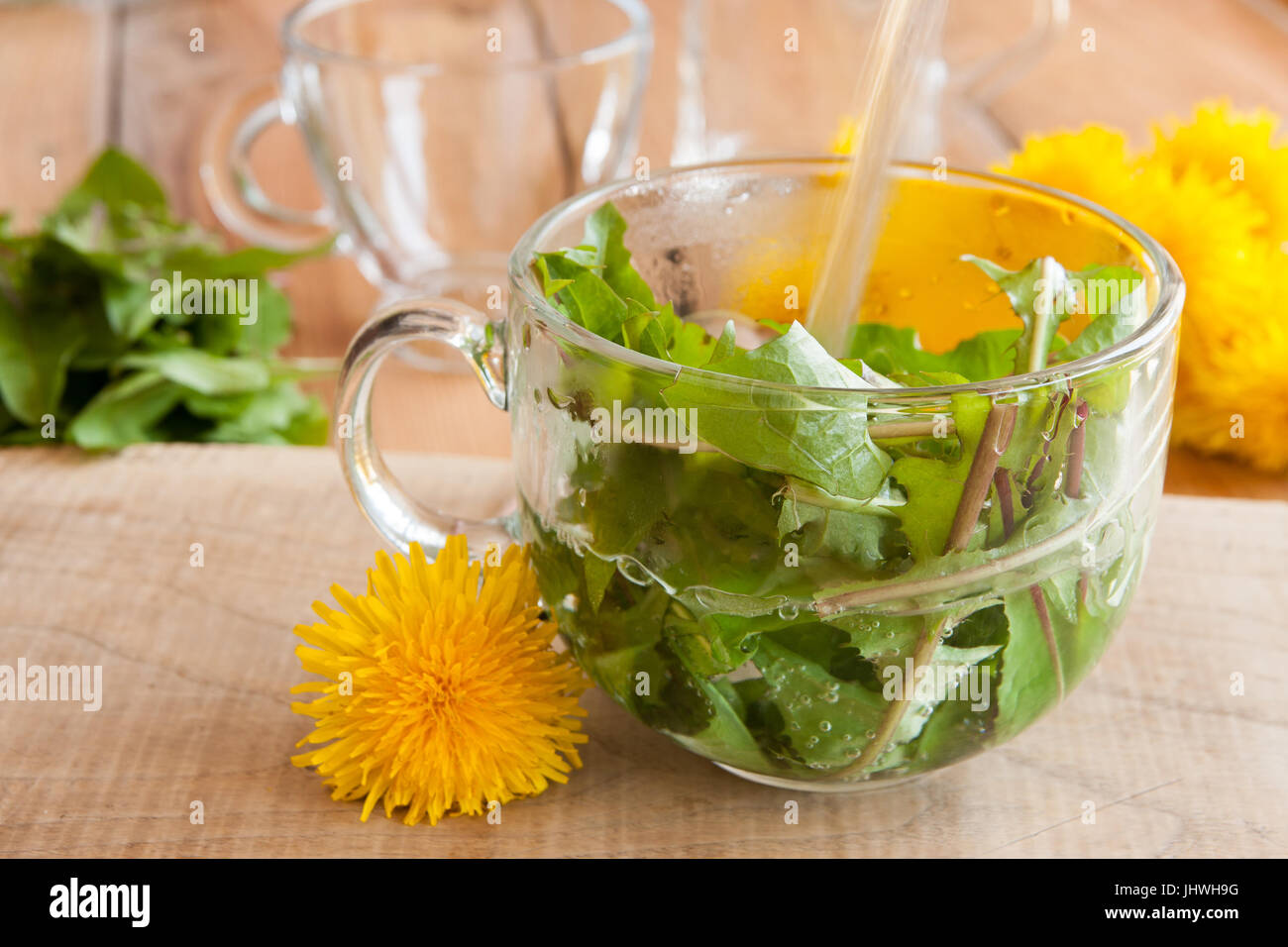 Preparing dandelion tea by pouring hot water over fresh dandelion