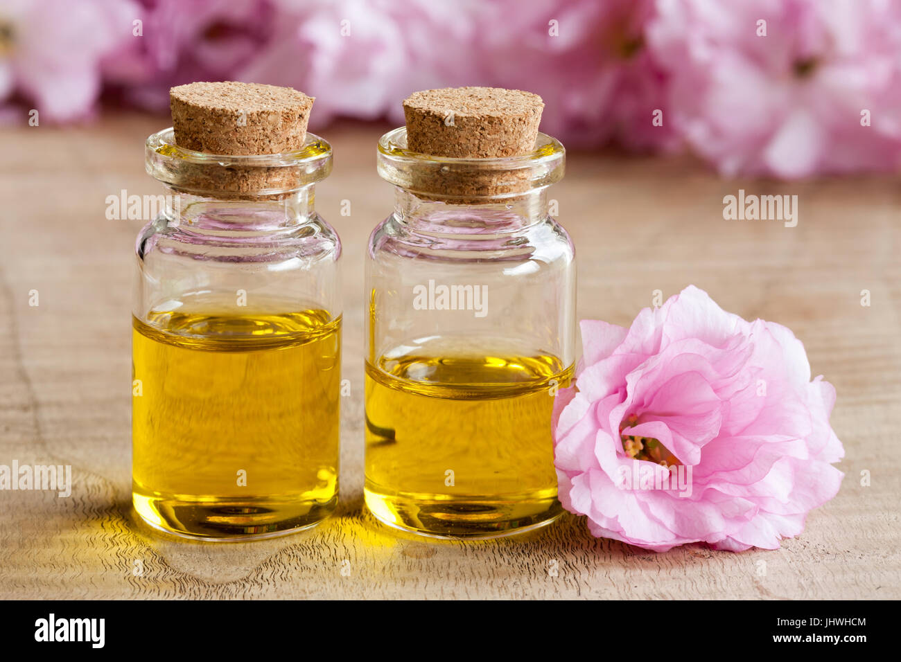 Two bottles of essential oil with pink japanese cherry blossoms in the