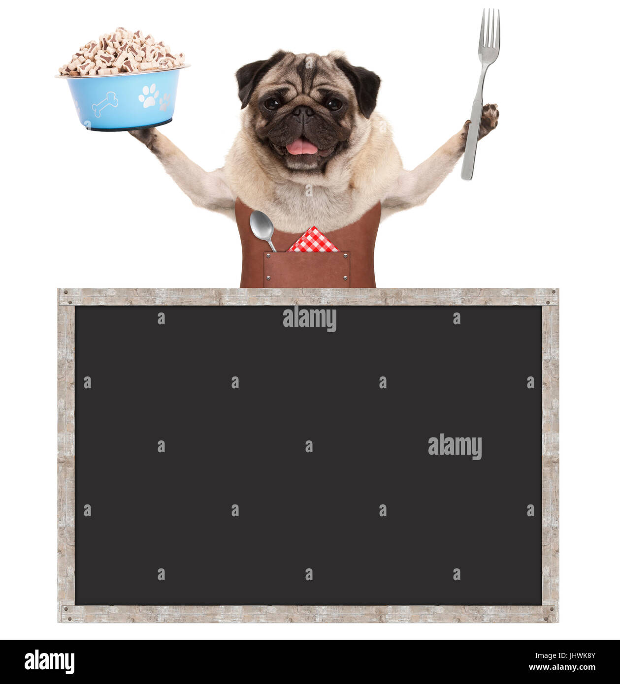 Cute pug puppy dog eating hi-res stock photography and images - Alamy