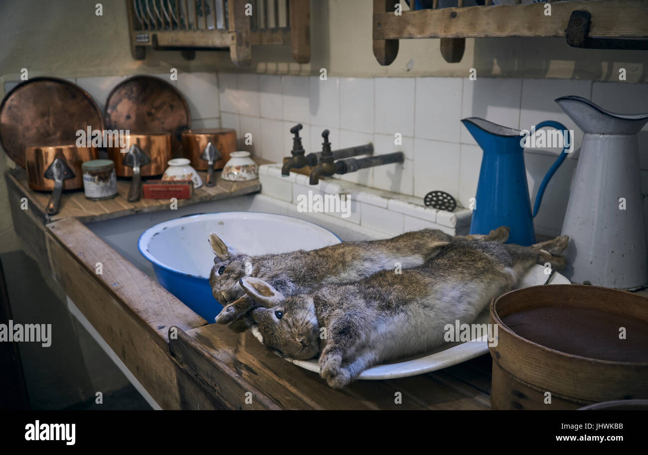 Old Fashioned Country Kitchen with fresh rabbit for skinning and copper saucepans Stock Photo