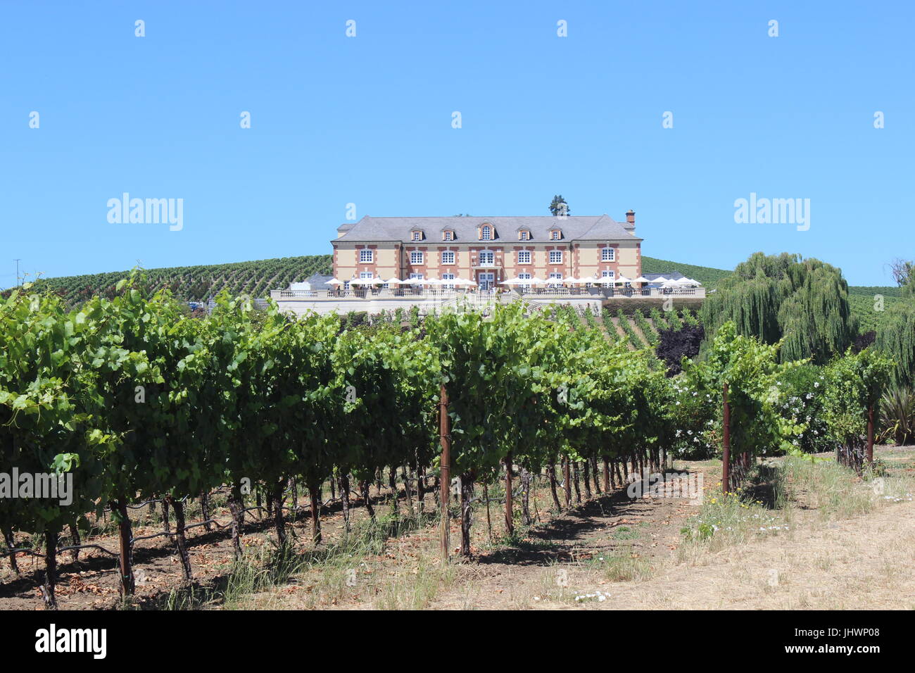 Domaine Carneros winery, Napa, California Stock Photo