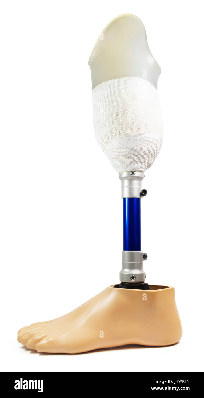 Isolated Prosthetic Leg and Foot. Artificial leg prosthesis on a white background. Stock Photo