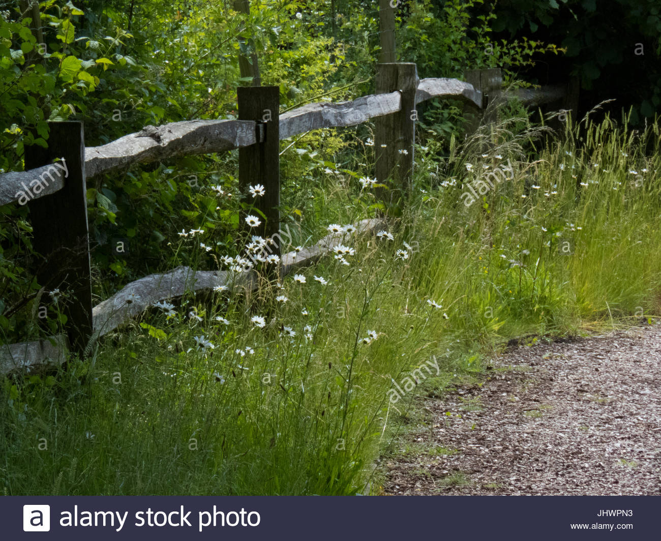 Fence Post Flowers Stock Photos & Fence Post Flowers Stock Images Alamy