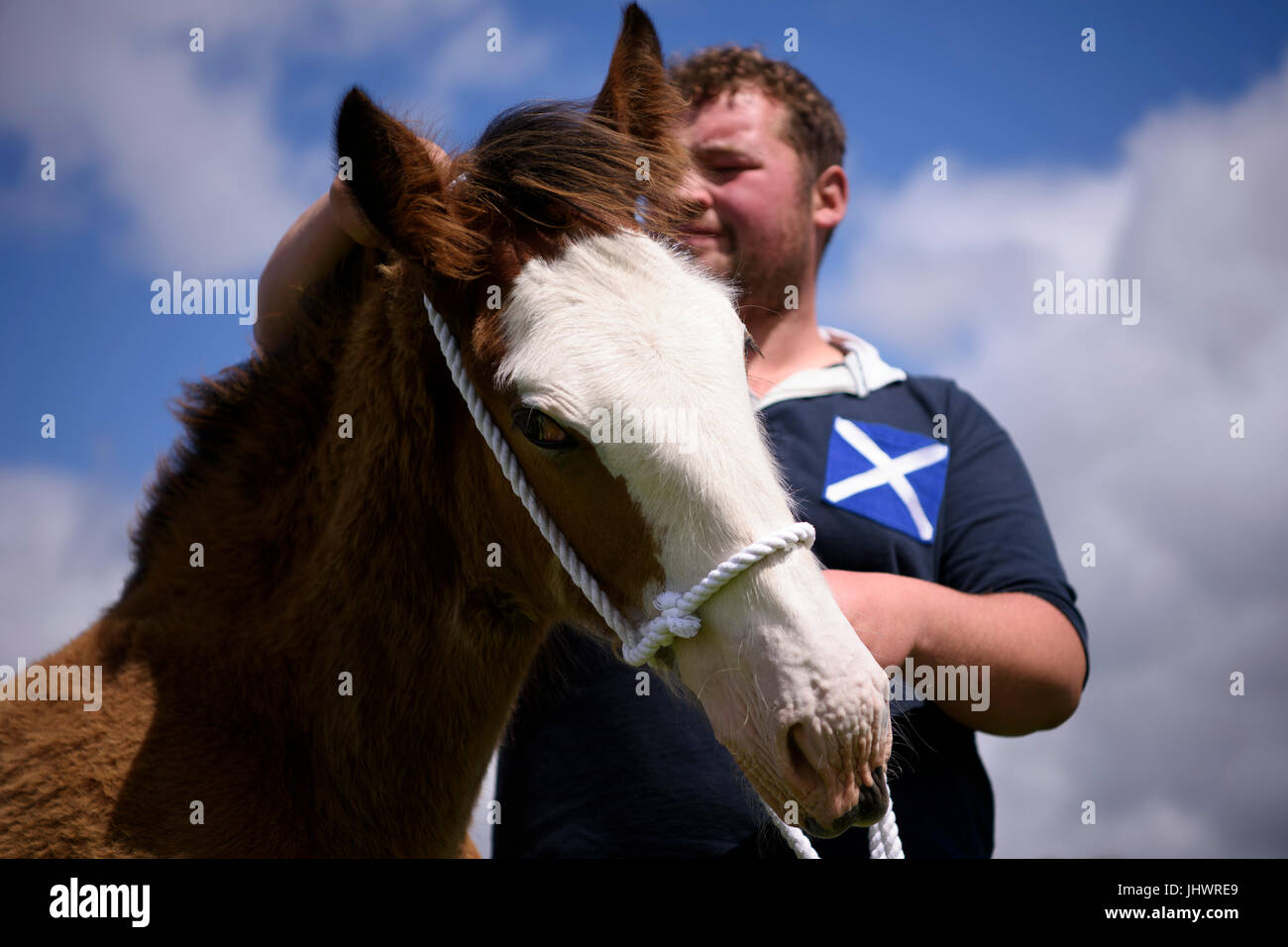 A horse is prepared for an event at the Heavy Horse Show at the