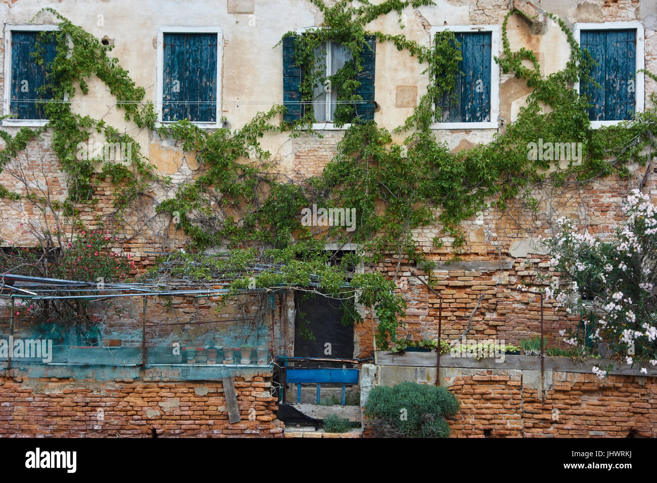 Buildings with vines hi-res stock photography and images - Alamy