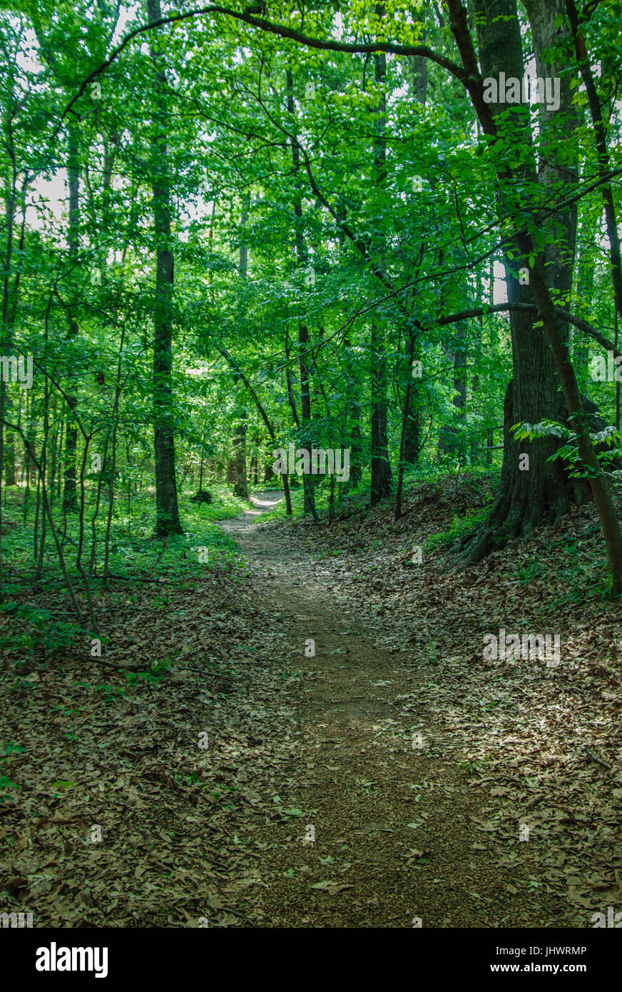 Natchez trace parkway national park hi-res stock photography and images ...