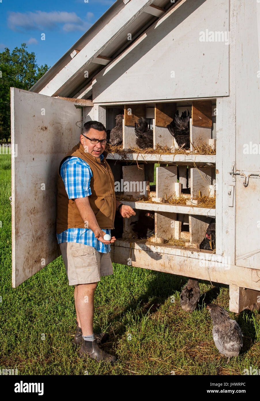 Farmer wearing casual clothes, 40's-50's male shows egg in hand, near open hen house Stock Photo