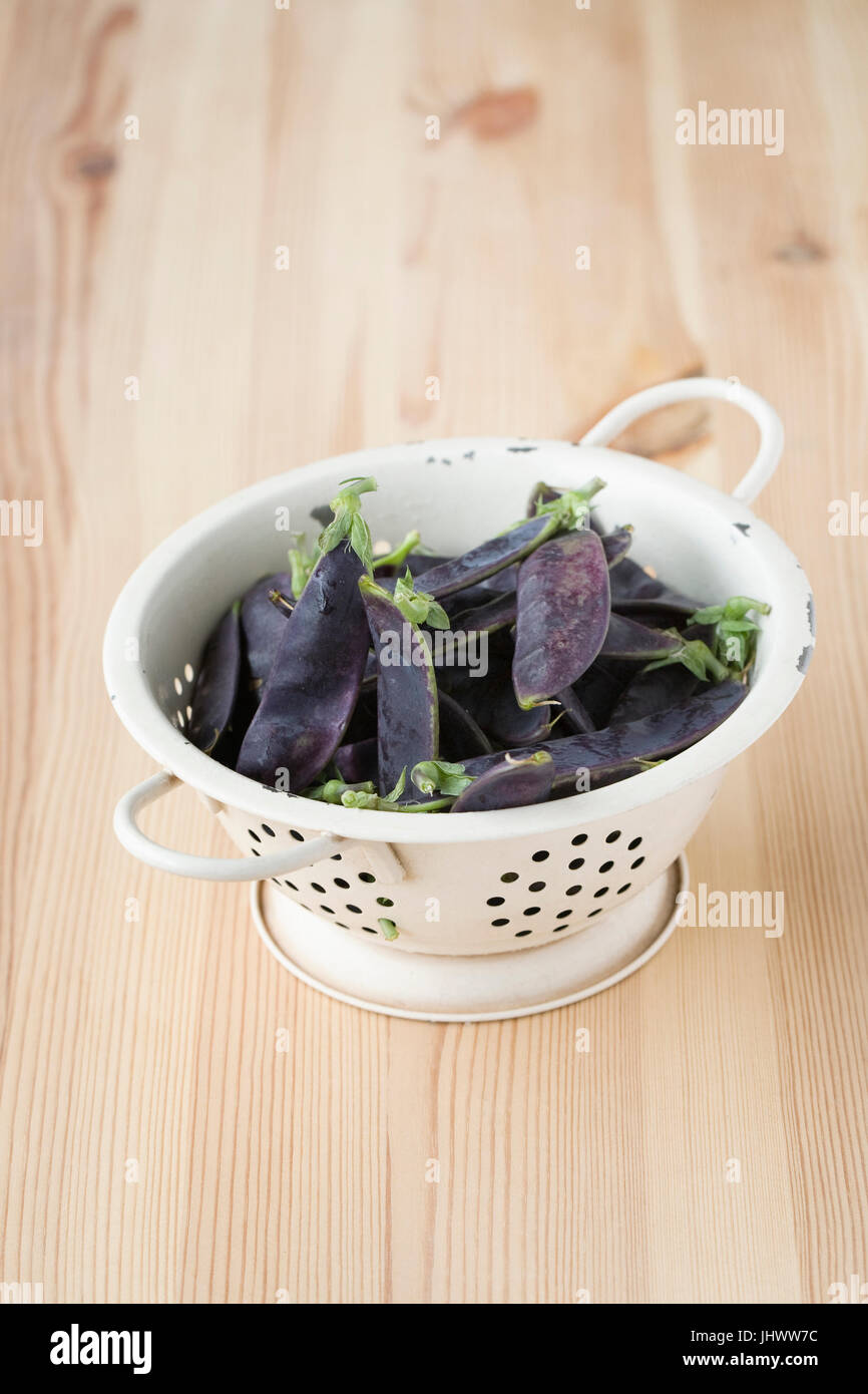 Purple mangetout in a colander. Stock Photo