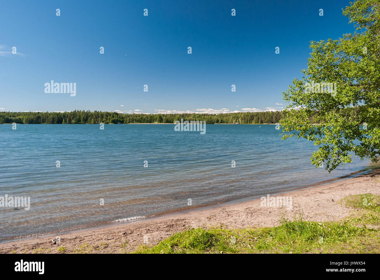 The lake of Hvittrask, near Helsinki, during the summer Stock Photo
