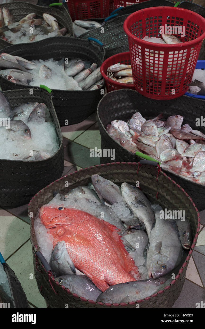 Fish on display at Fish Market in Souq Sharq in Kuwait City Stock Photo