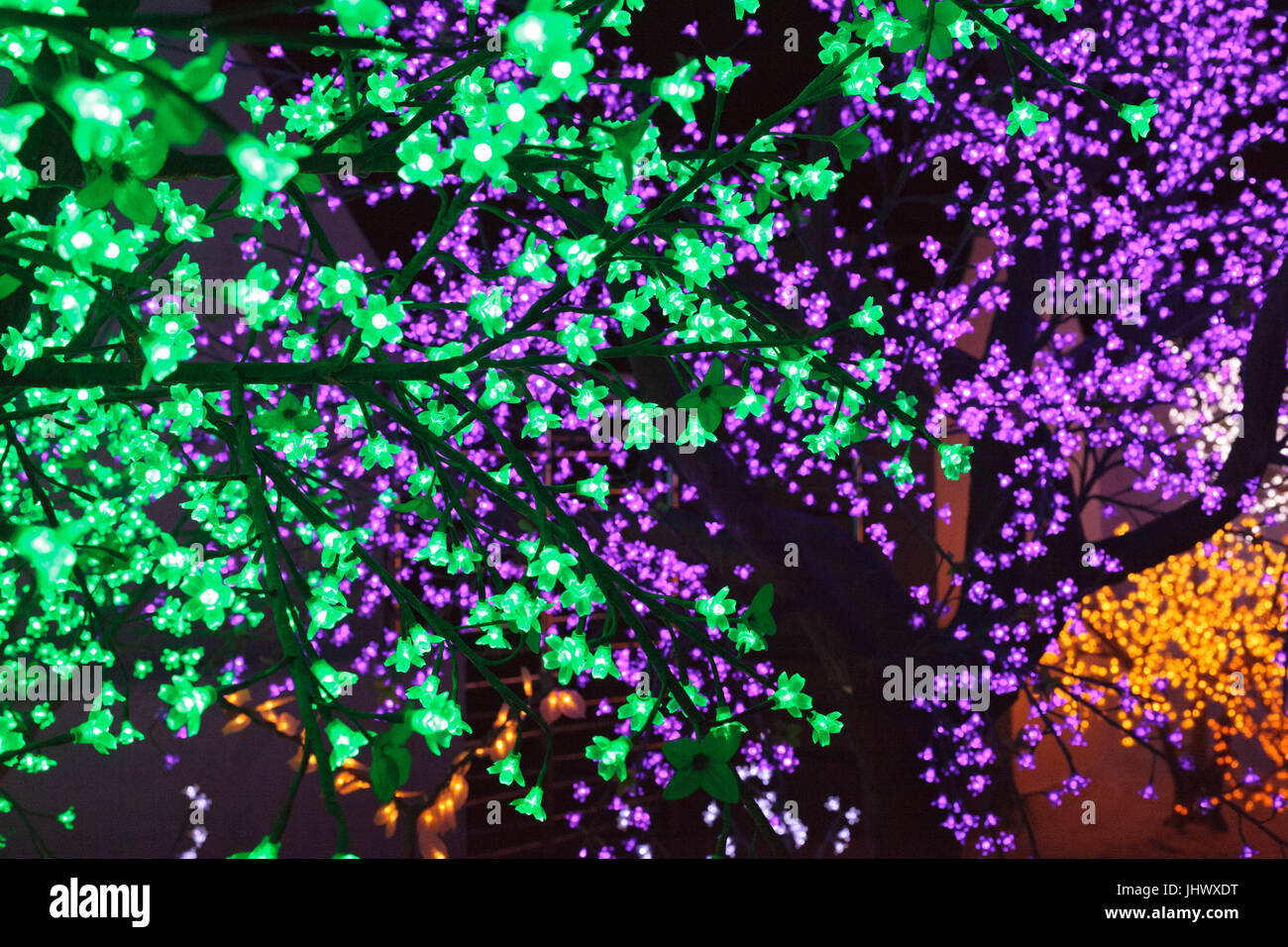 LED Tree Lights Stock Photo Alamy