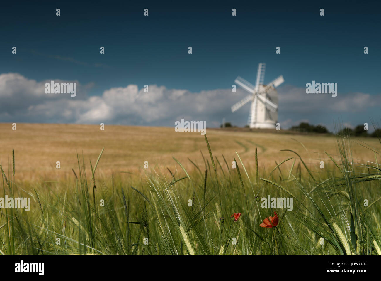 Ashcombe Windmill on Kingston Hill, Lewes, East Sussex, England, Great Britain. Uk Stock Photo
