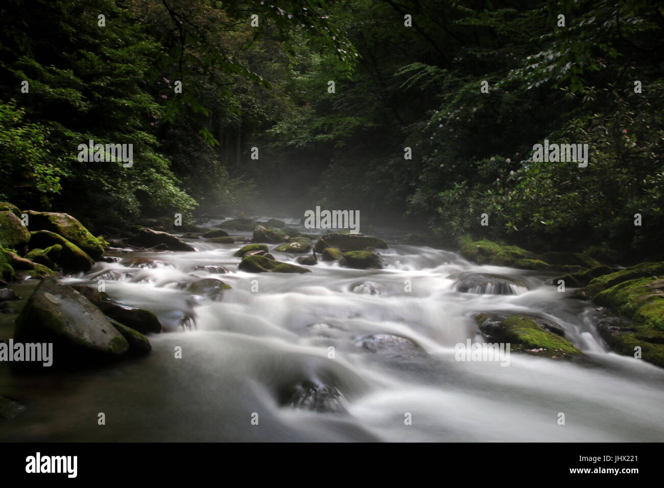 Cherokee national forest mist hires stock photography and images Alamy