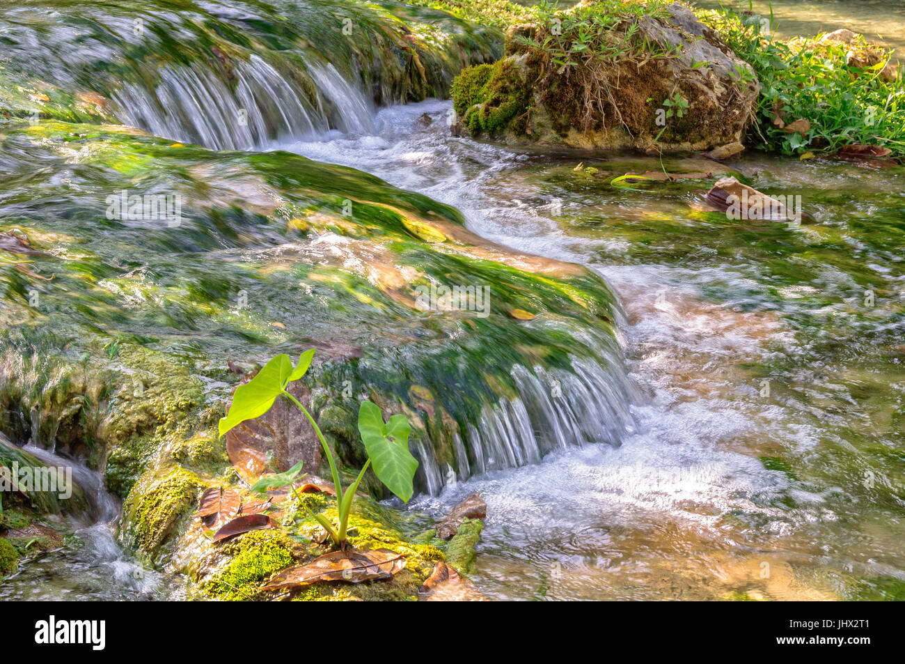 Crystal clear water of Mele Creek - Port Vila, Efate Island, Vanuatu Stock Photo