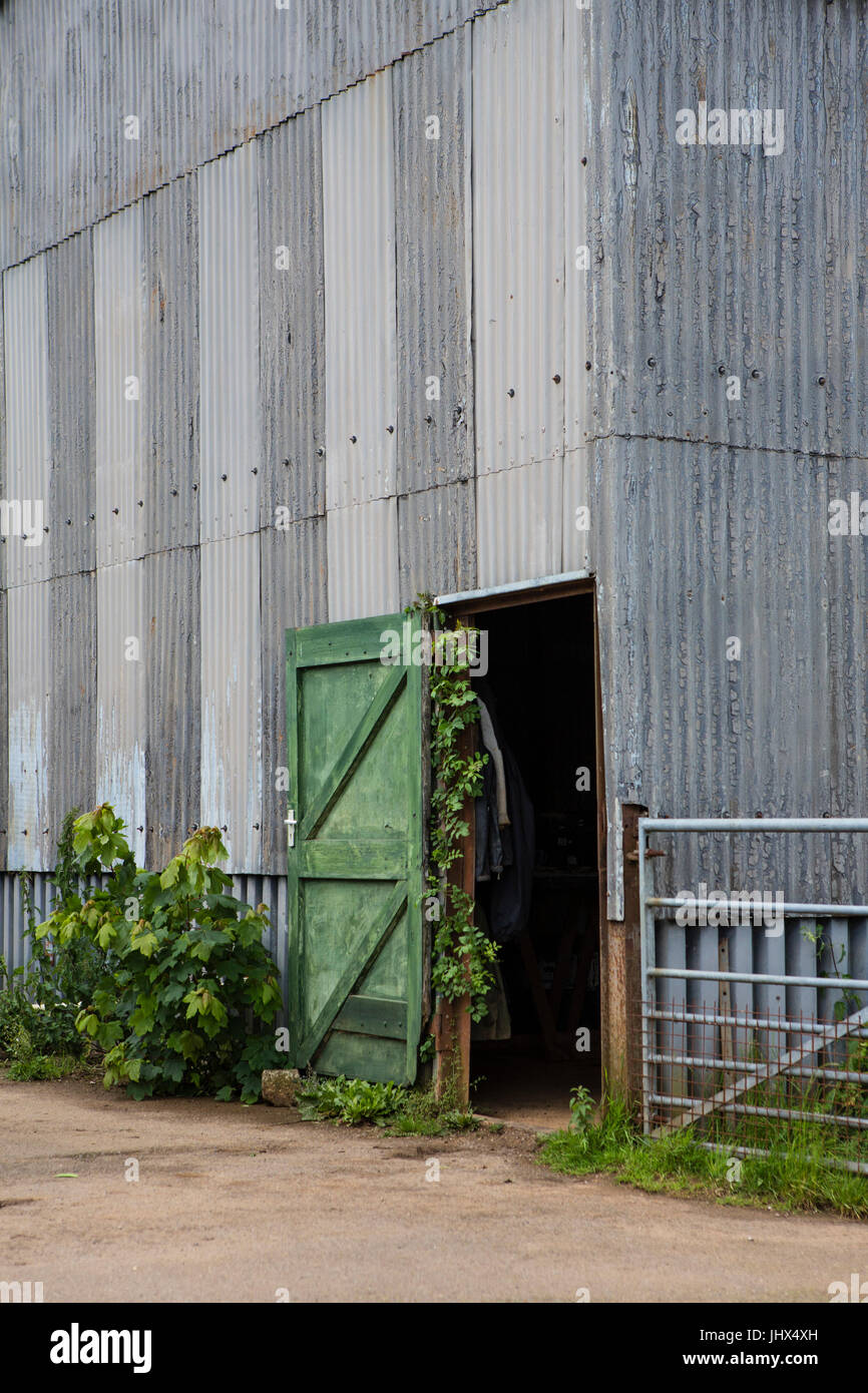 An Old Iron Clad Barn With Green Door Open To The Yard On A