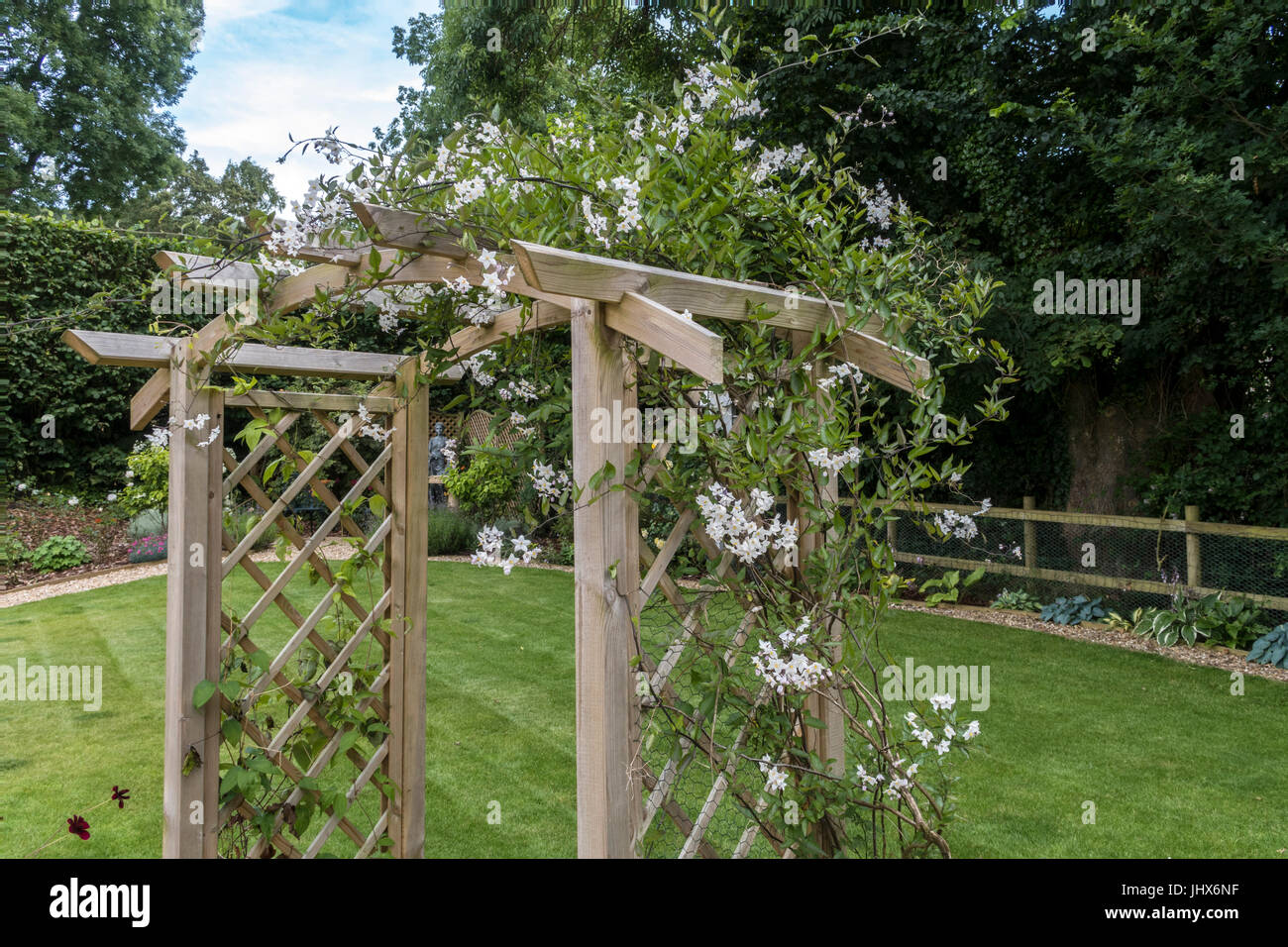 A garden arch covered with jasmine (Jasminum officinale) beside a stone patio and lawn. Stock Photo