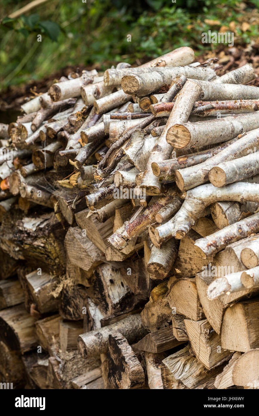 Birch logs hi-res stock photography and images - Alamy