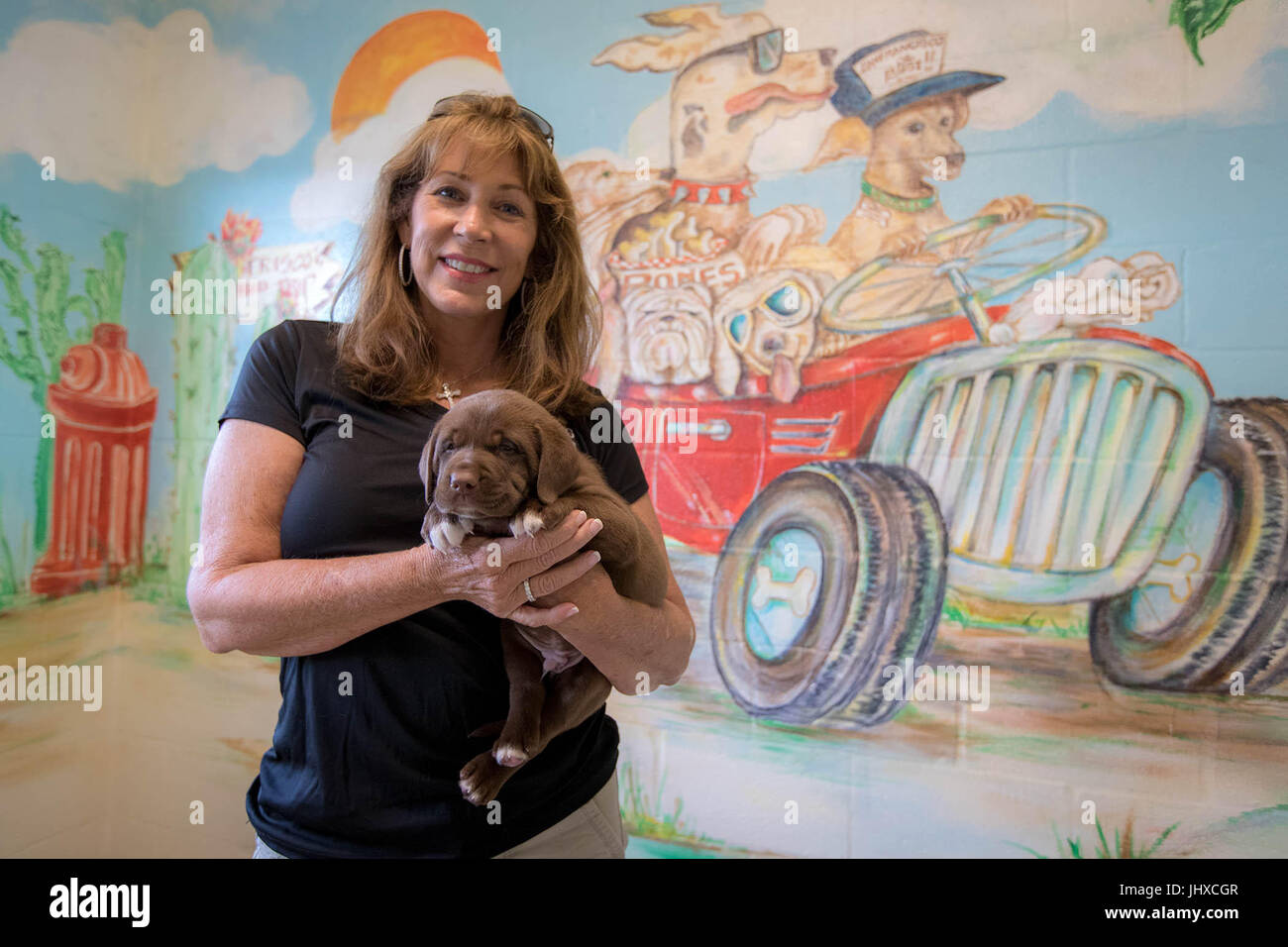 Loxahatchee Goves, Florida, USA. 16th July, 2017. Lauree Simmons, president of Big Dog Ranch Rescue has started opening buildings at its new facility in Loxahatchee Groves, Florida on July 15, 2017. Credit: Allen Eyestone/The Palm Beach Post/ZUMA Wire/Alamy Live News Stock Photo