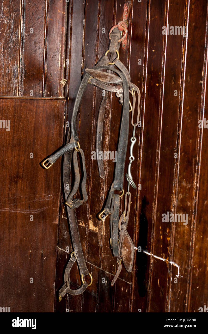 old fashioned / antique horse harness / farm equipment Stock Photo Alamy