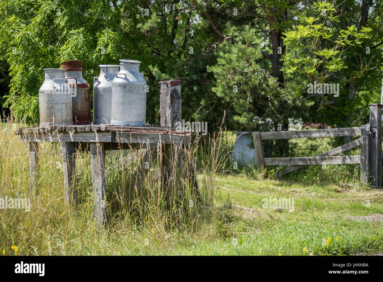Traditional milk churn stand along a countryroad on Swedish Baltic sea