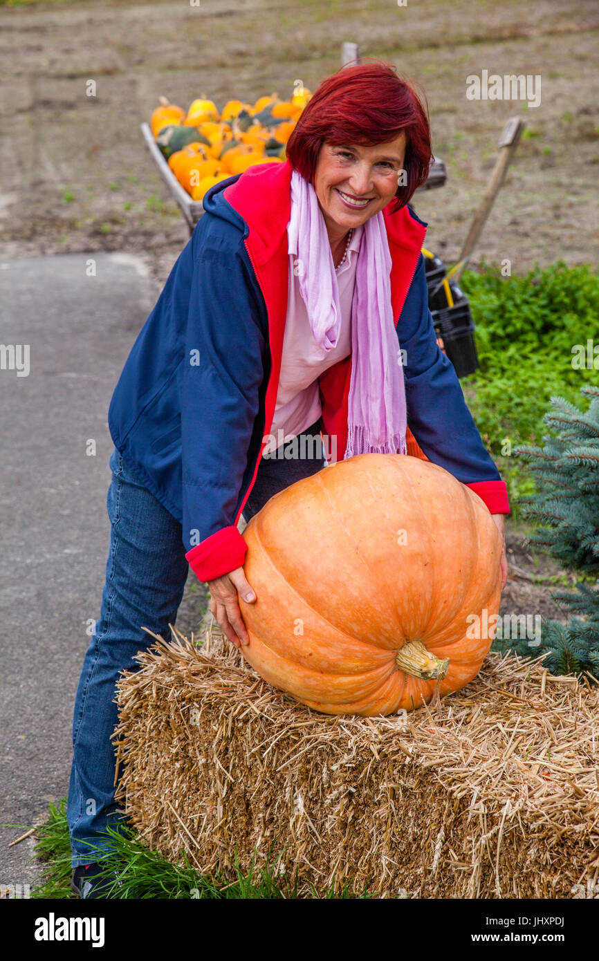 Netherlands, South Holland, Hillegom, giant pumpkin Stock Photo