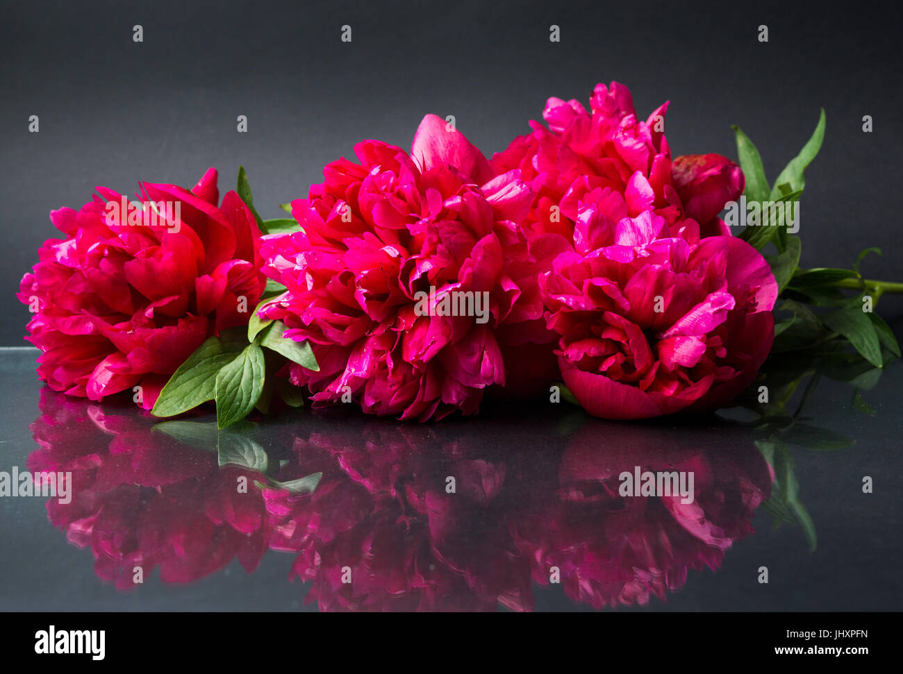 Red peony flowers bouquet on dark reflective background Stock Photo - Alamy