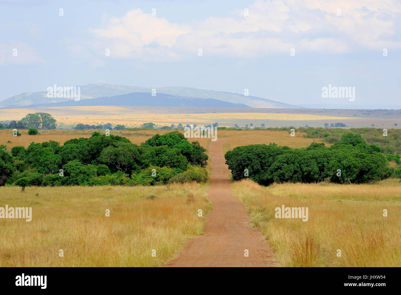 Savannah landscape in the National park of Kenya, Africa Stock Photo