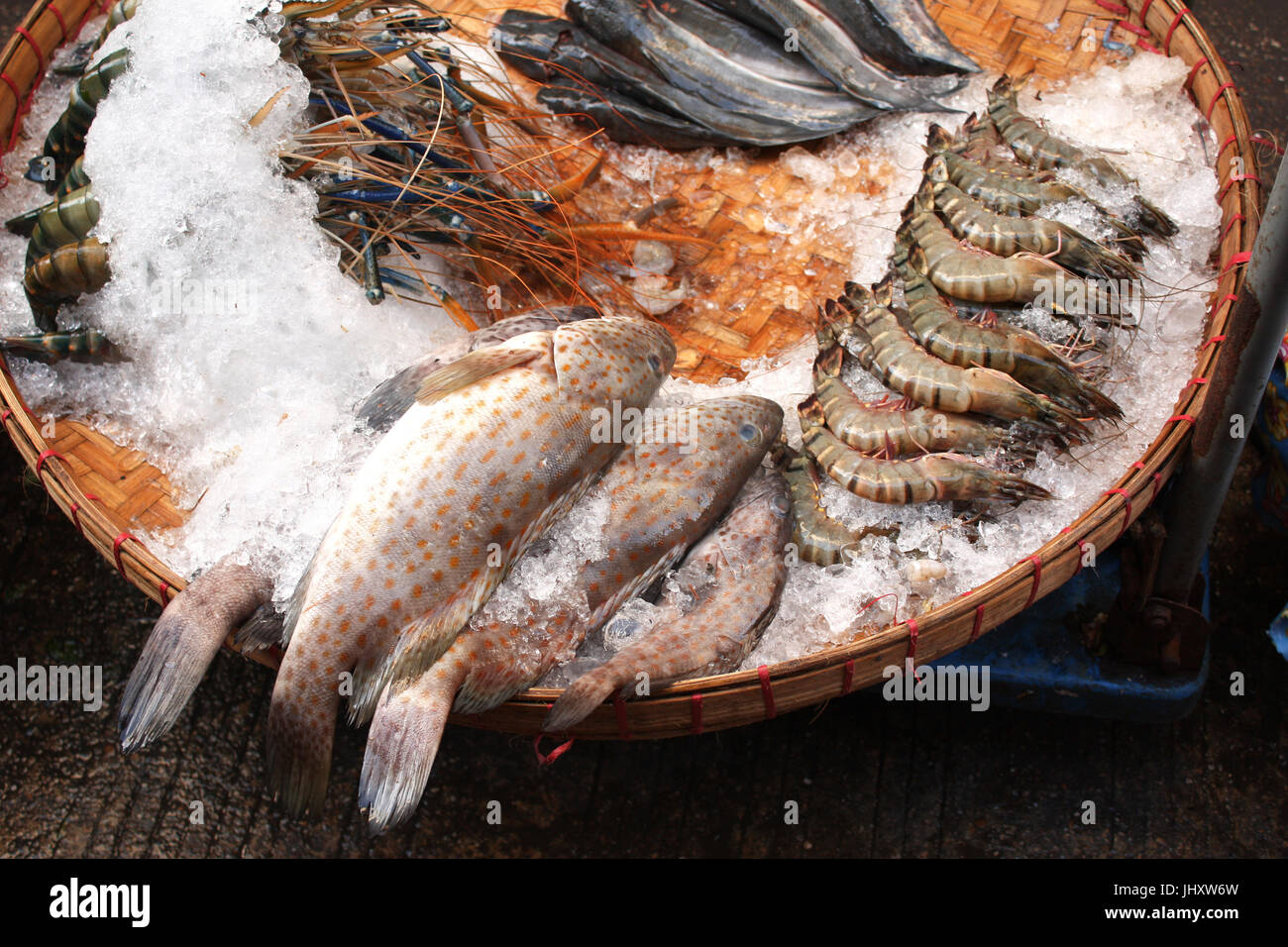 Shrimp catch hi-res stock photography and images - Page 15 - Alamy