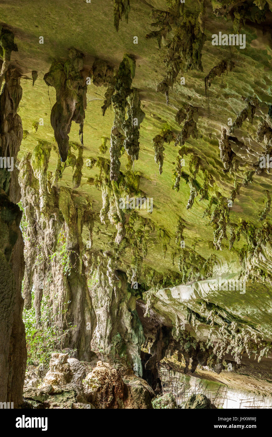 Cave in Niah national park Stock Photo