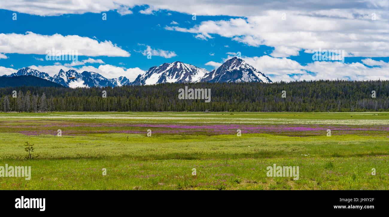 A snow-capped mountain along the Sawtooth Scenic Byway in Idaho Stock Photo