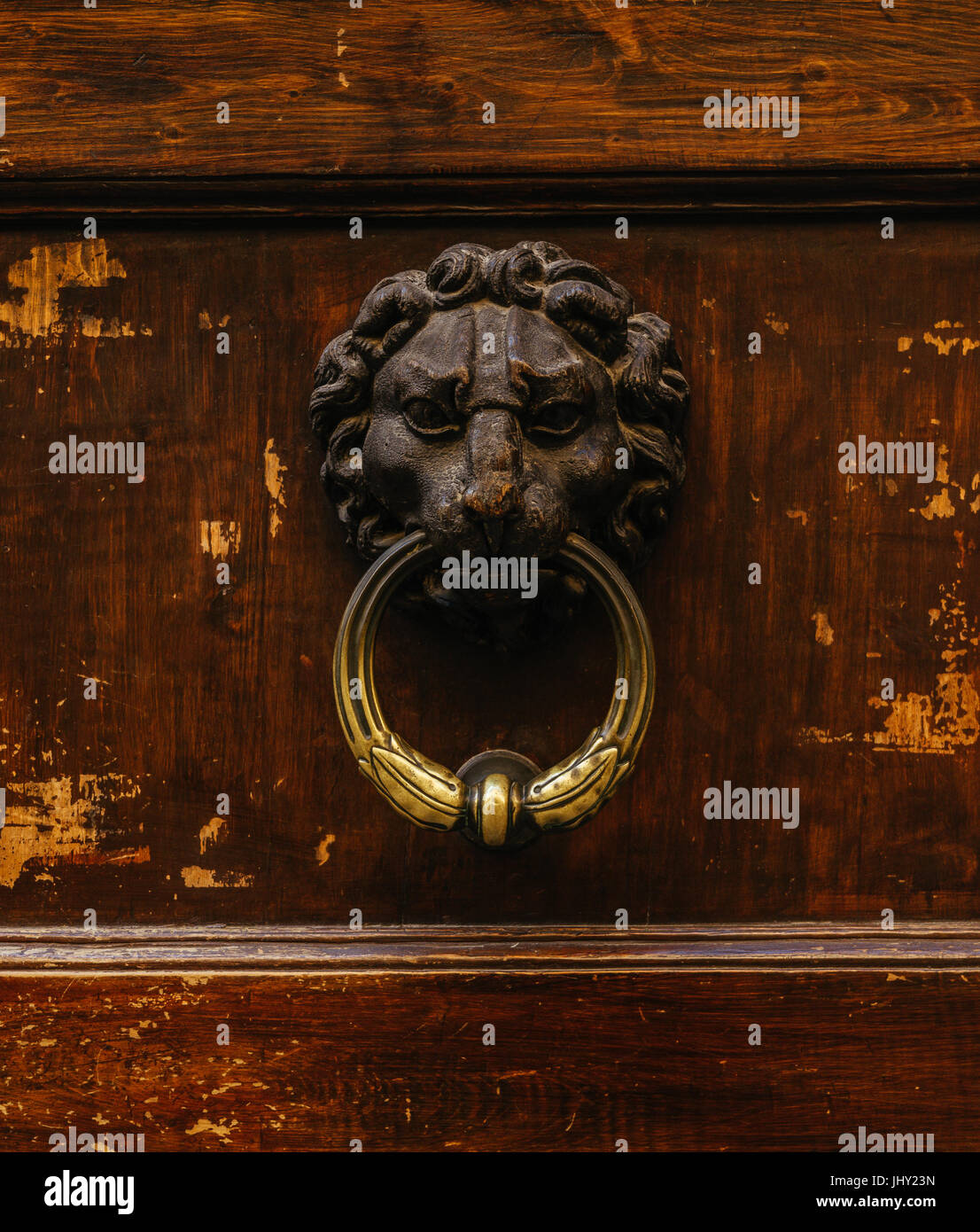 brass lion door knocker on wooden door in Venice Stock Photo