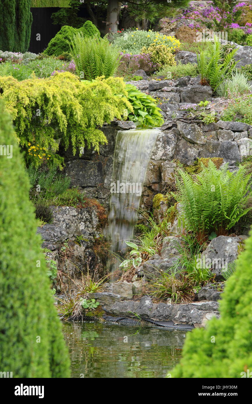 Detail of the alpine rock garden at Fir Croft; The Alpine Plant Centre, Calver, Hope Valley, Derbyshire in late May - National Garden Scheme, 2017 Stock Photo