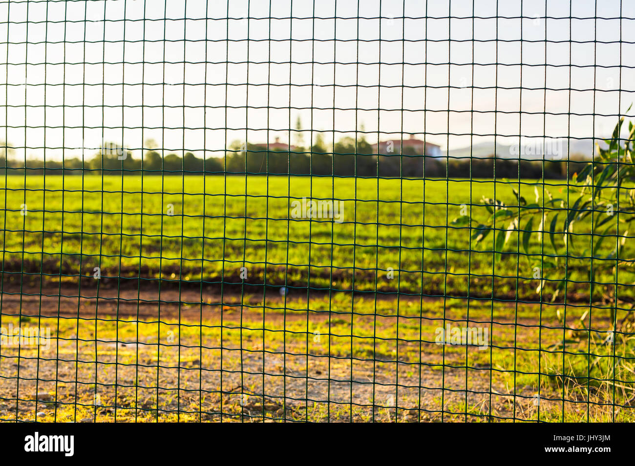 Wire fence with green grass on background Stock Photo - Alamy