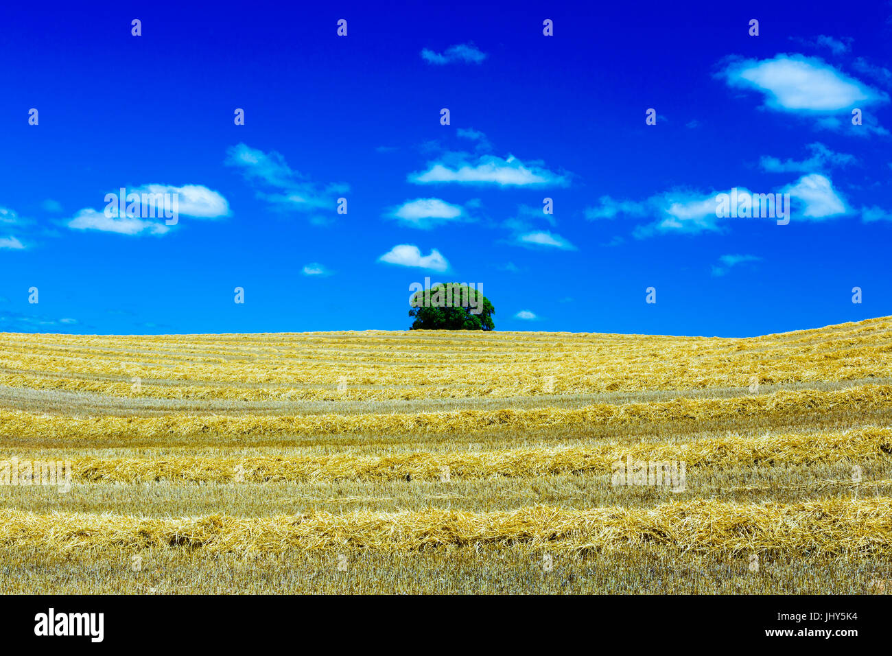 Cereal harvest farming hires stock photography and images Alamy