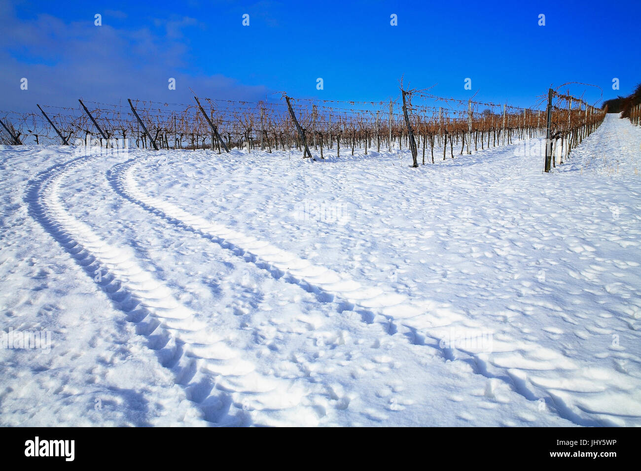 Weinberg schnee hi-res stock photography and images - Alamy