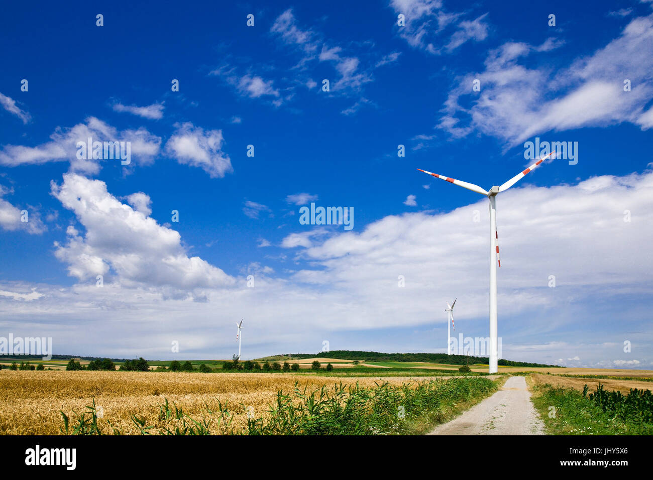Wind strength arrangement in the grain field, Windkraftanlage im Kornfeld Stock Photo