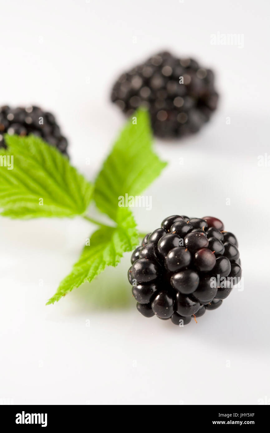 Black raspberries, Schwarze Himbeeren Stock Photo
